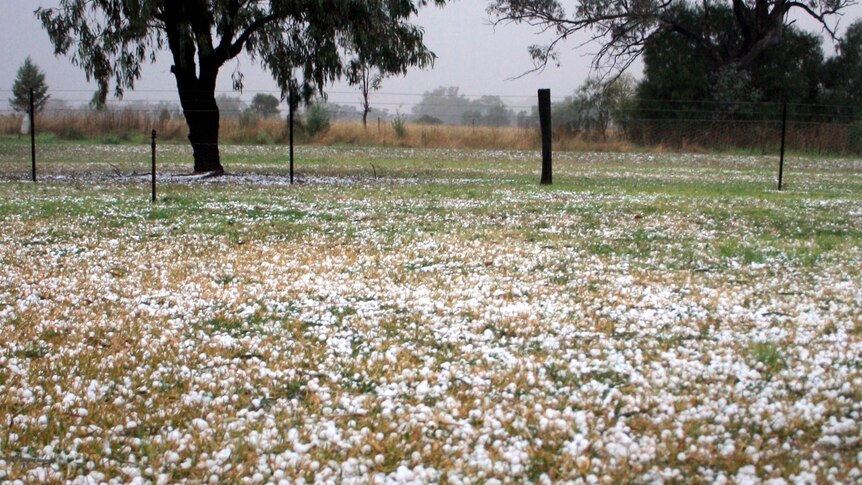 Hail covers the ground at Eulah Creek.