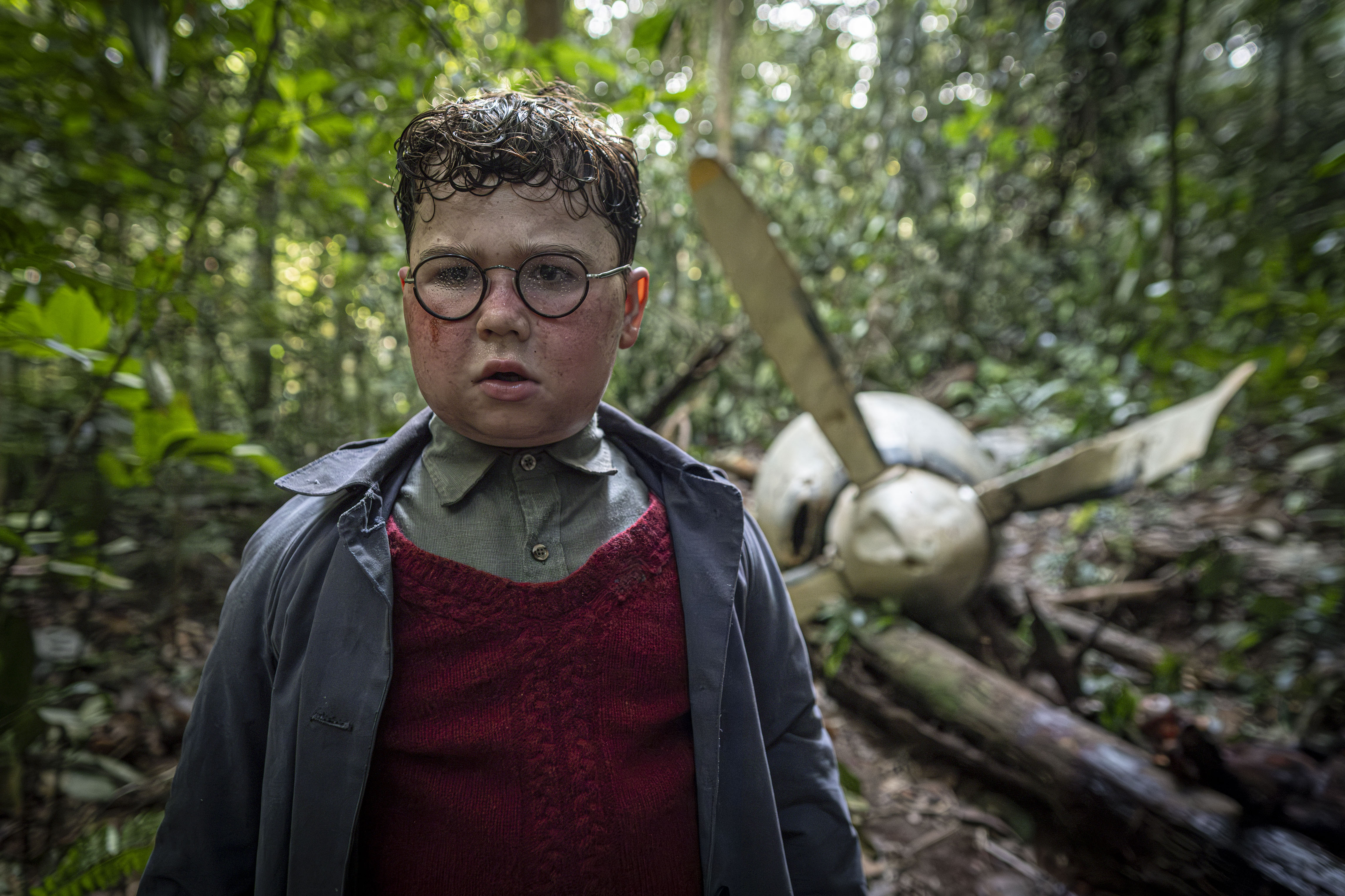 Una fotografía televisiva de David McKenna, de 12 años, con gafas y luciendo sorprendido en un bosque. Detrás de él está la hélice de un avión estrellado.