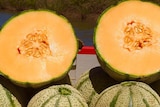 A rockmelon, cut in half, showing the inside.
