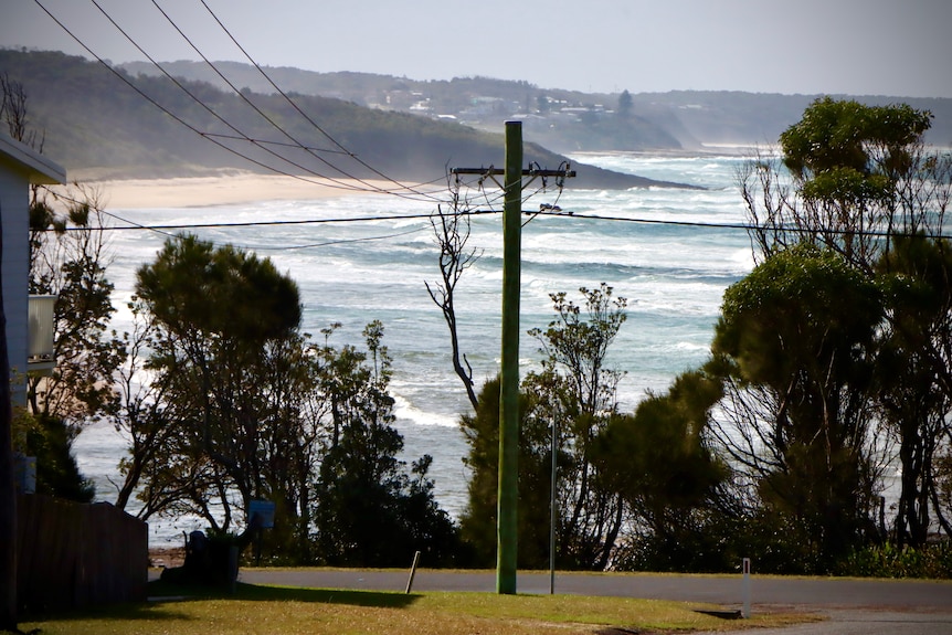 An ocean beach viewed through trees and telegraph poles on a street.