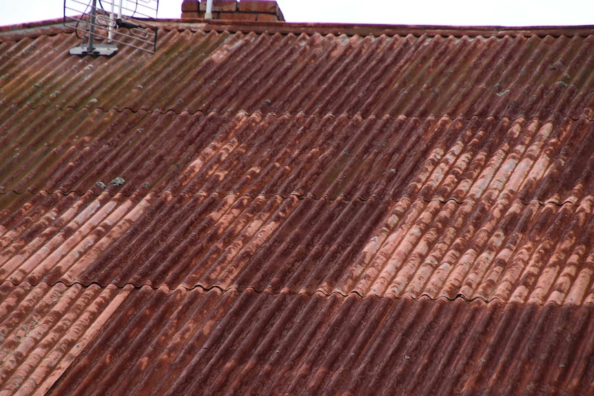 Eva Pagett's roof is contaminating her water