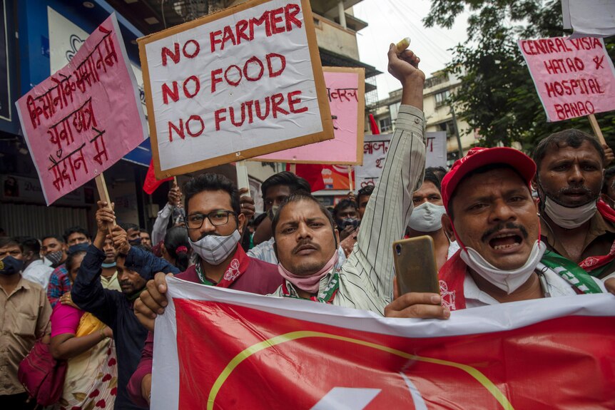 Farmers in India carry signs at a protest against farming laws. 