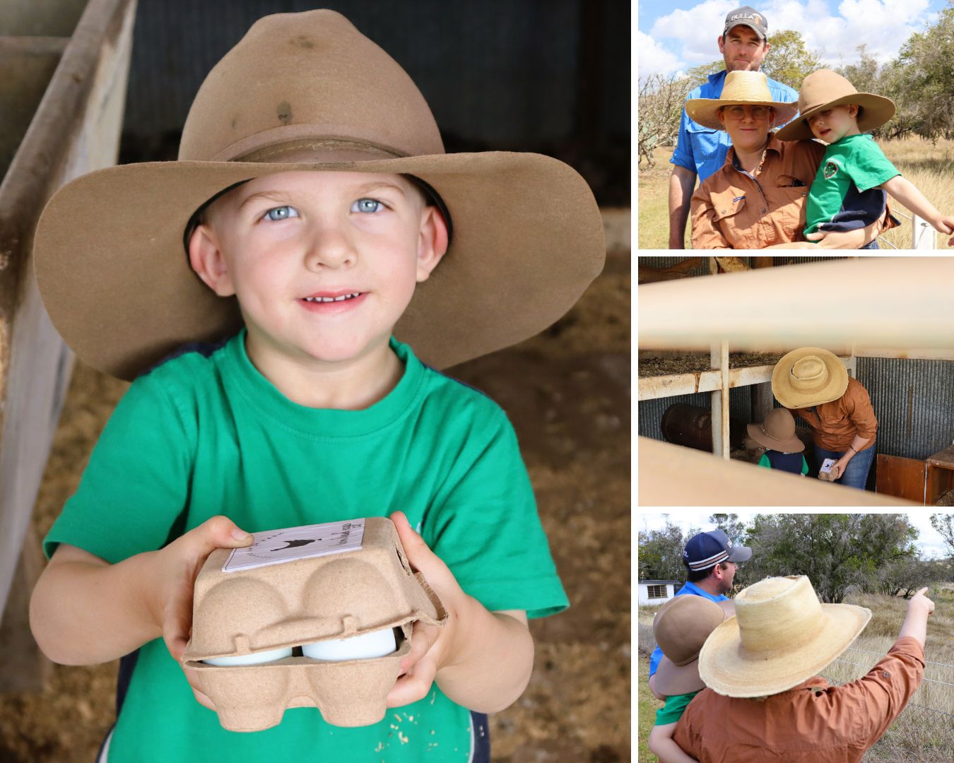 A collage of pictures showing a family collecting eggs and wandering around their farm.