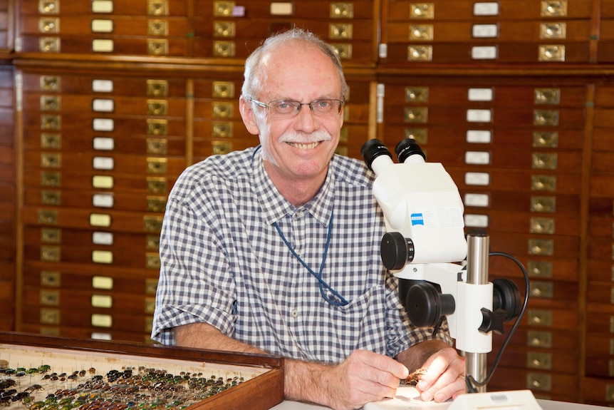 Scientist with microscope surrounded by bugs.