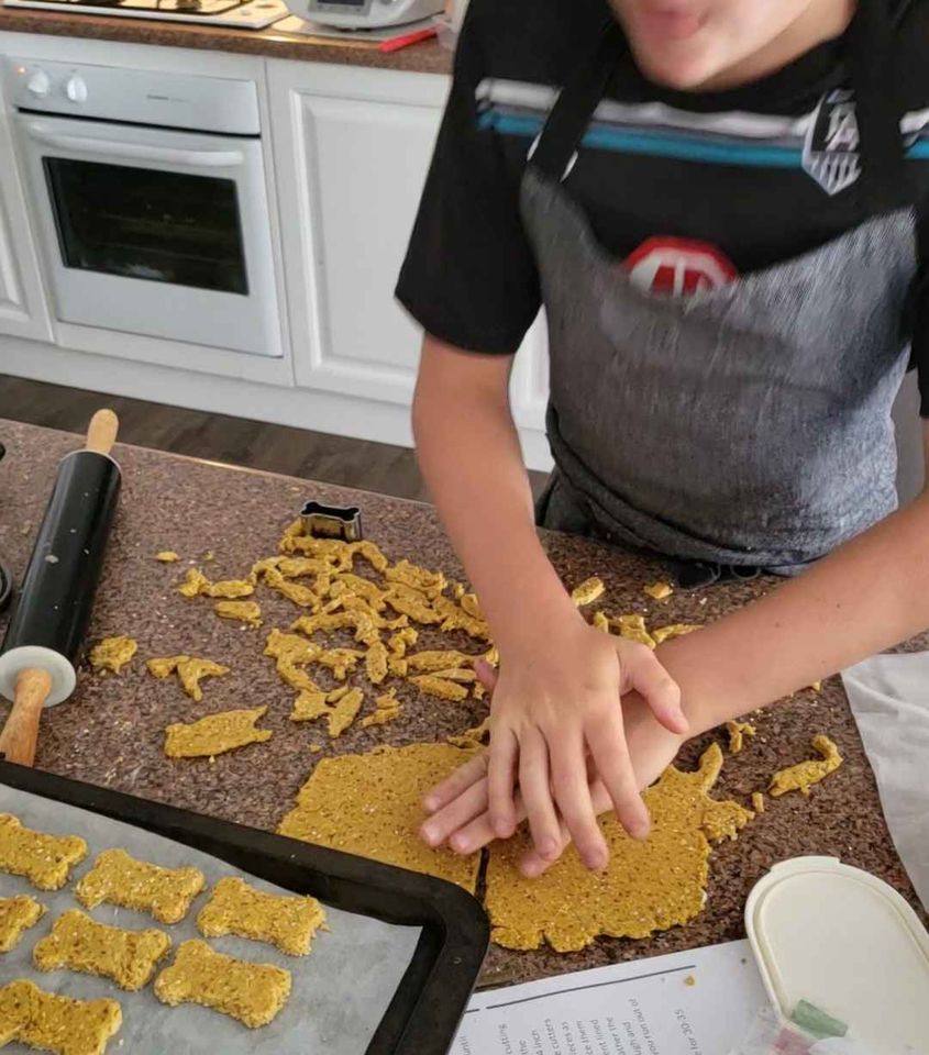 Ollie in the kitchen