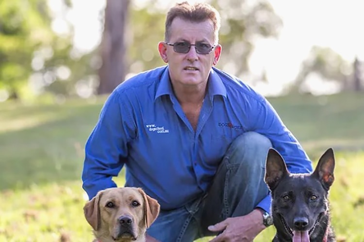 man in blue shirt scrouches between a golden labrador and black dog