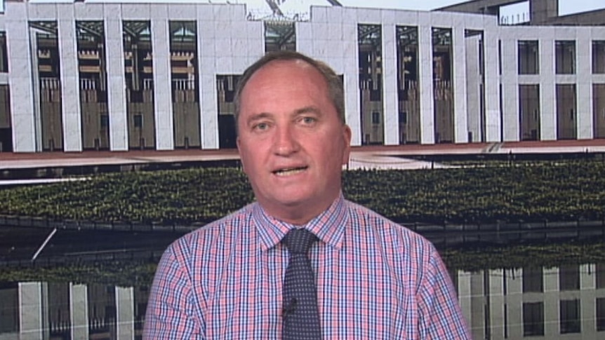 Deputy Prime Minister Barnaby Joyce says the white spot disease is not dangerous to humans, but is deadly for prawns.