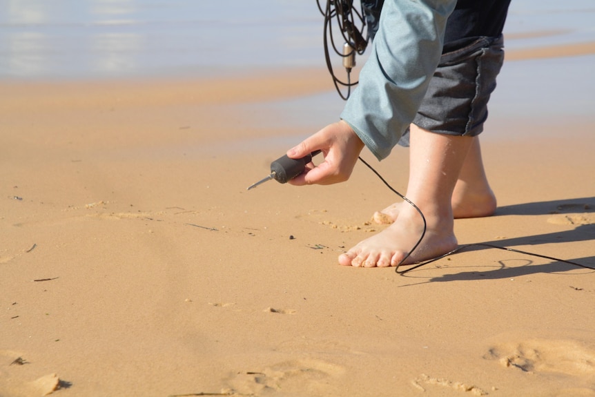 A woman pulls a microphone with a needle on the end out of the sand.