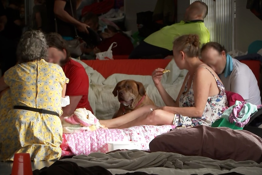 A group of people sitting on bedding with a dog