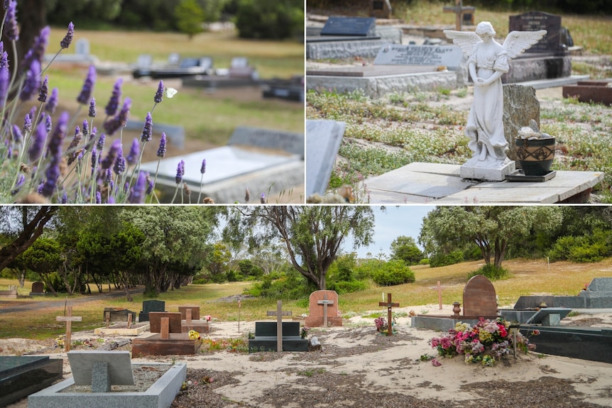 A collage of a cemetery, one photo shows lavender with graves, another is a row of graves and another shows an angel statue