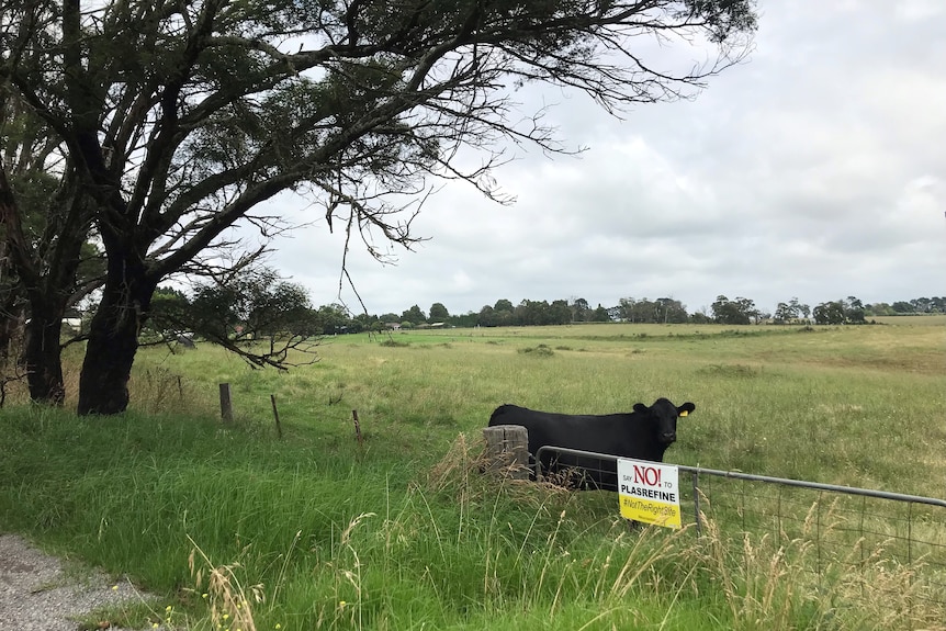 A field with a cow and trees.