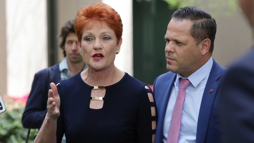 Senator Hanson has her hand outstretched as she makes a point. Her One Nation colleague Peter Georgiou watches on.
