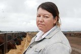 A woman stands in front of a cattle feedlot and looks at the camera, cows eat in the background.
