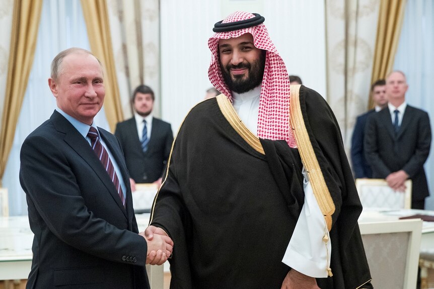 Russian President Vladimir Putin smiles and shakes hands with Mohammed bin Salman during a meeting.