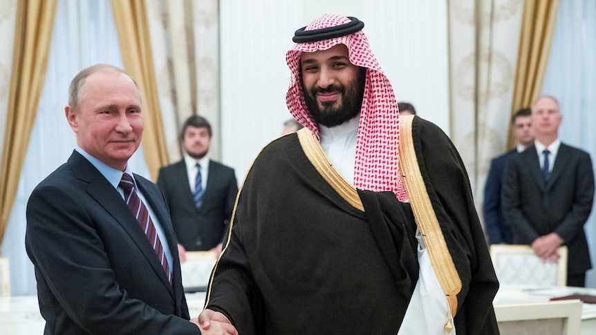 Russian President Vladimir Putin smiles and shakes hands with Mohammed bin Salman during a meeting.