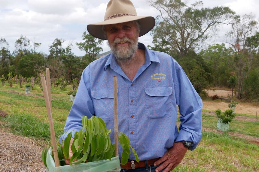 A farmer in a hat kneels beside a lychee tree and smiles at the camera.