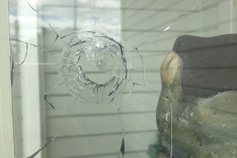 Neighbour's window shot during Moonah siege