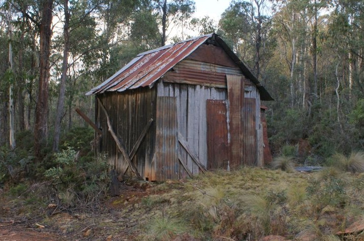 Old shed in Tasmanian bush.