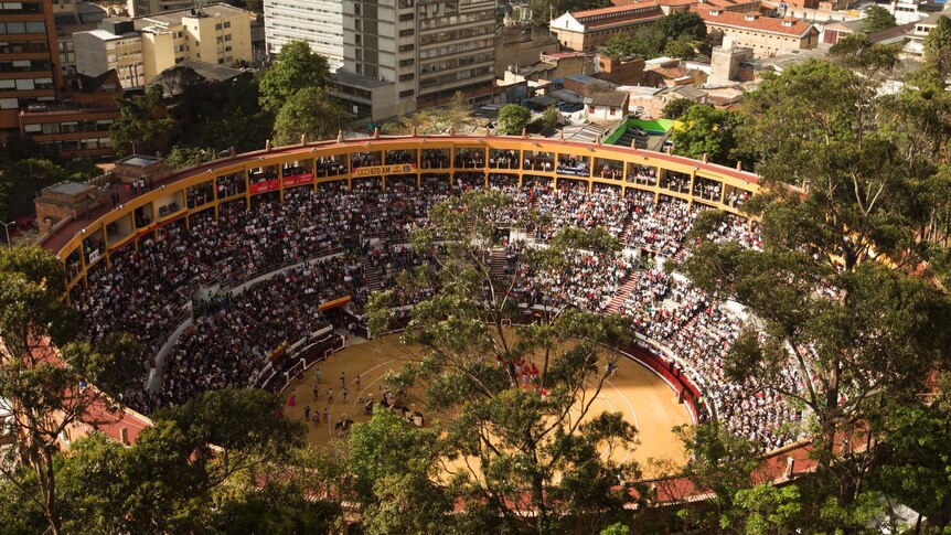 Bullfighting Returns To Colombia S Capital Amid Protests Abc News