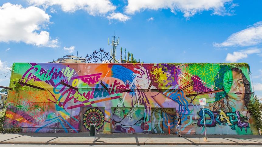 Artist Drapl weaved his magic on the old skate arena in Red Hill.