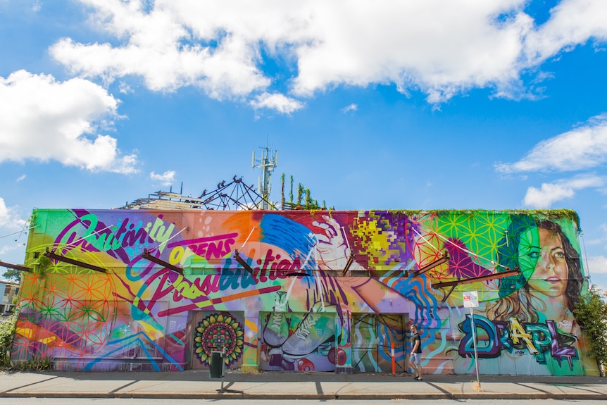 Artist Drapl weaved his magic on the old skate arena in Red Hill, covering the side of the building.