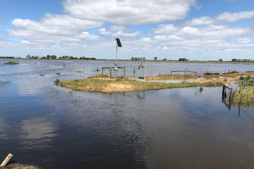 Bennett's flooded farm