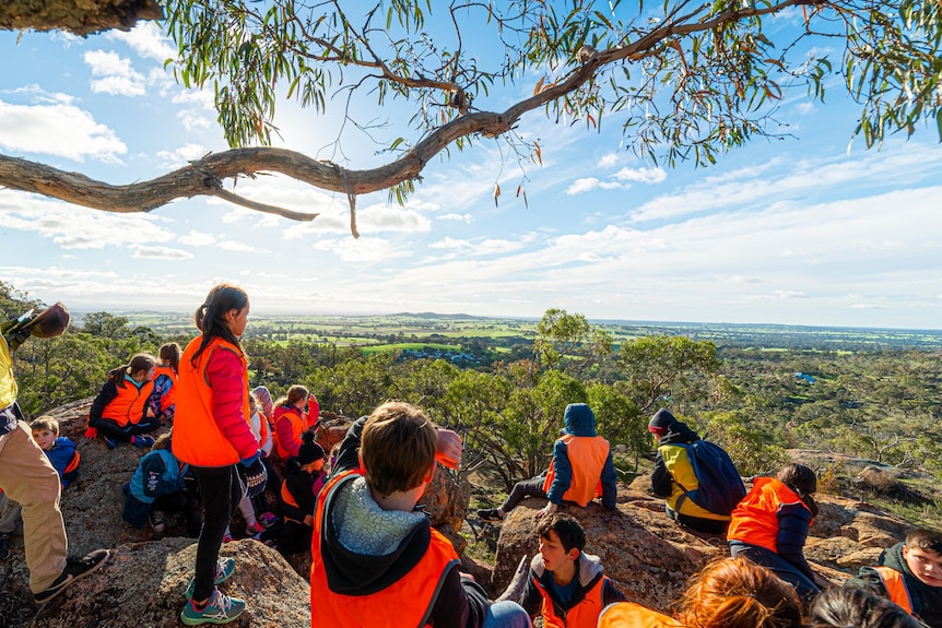 Kids in hi-vis vests enjoying the sunny view from a mountain overlooking green flat land, central Victoria.