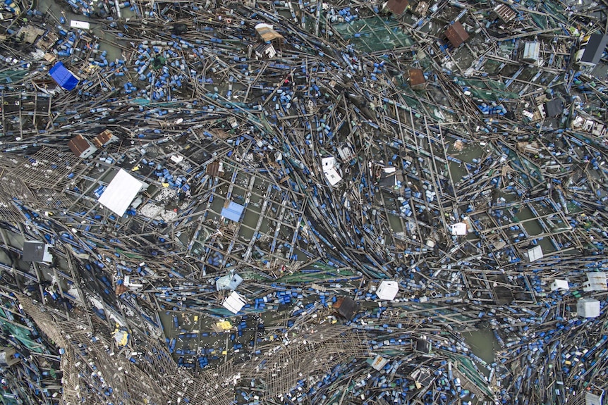 A bay in Zhanjiang, Guangdong province, is littered with debris following typhoon