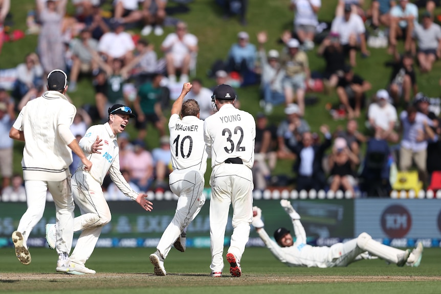 A New Zealand bowler charges across the pitch towards a wicketkeeper with the ball in his glove after the winning dismissal.