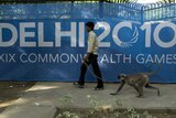 Security monkeys patrol Delhi Games site