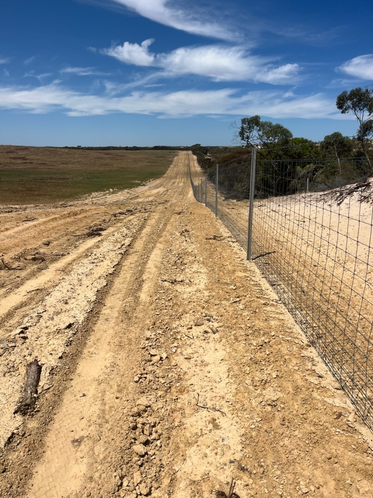 A fence running along a dirt access road in a paddock. On the other side of the cordon is bushland.