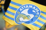 Parramatta Eels fans wave flags