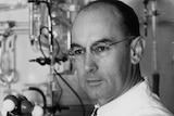 Albert Hofmann discovered LSD by chance while researching medicinal plants. (File photo)