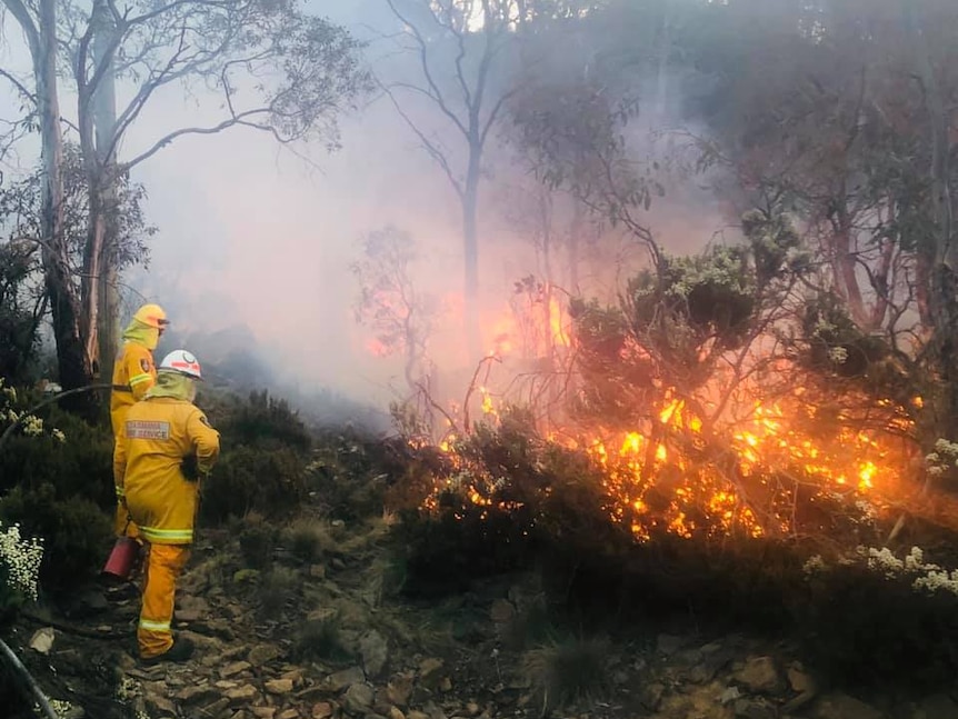 Two firefighters in full protective equipment use a fire hose on burning scrub as smoke billows through nearby trees.