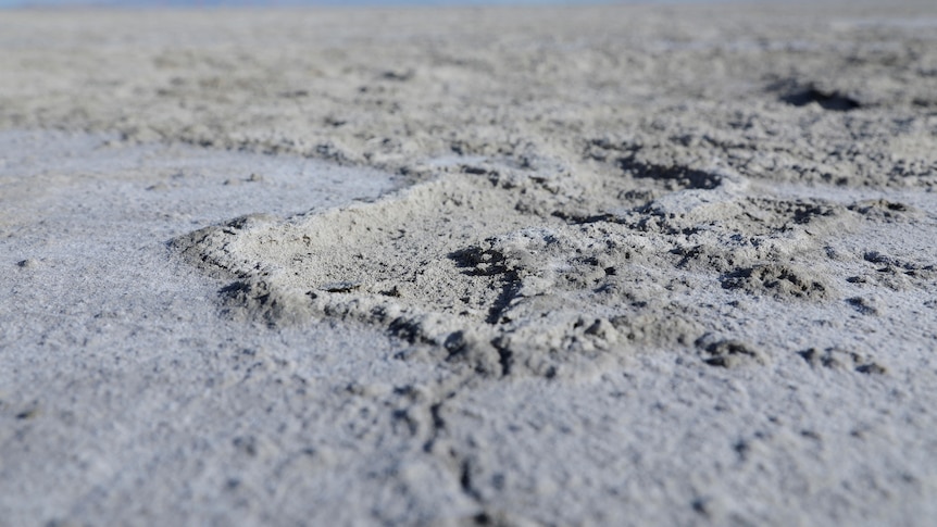 Mottled grey rock and sand on the bottom of a dried out lake bed. 