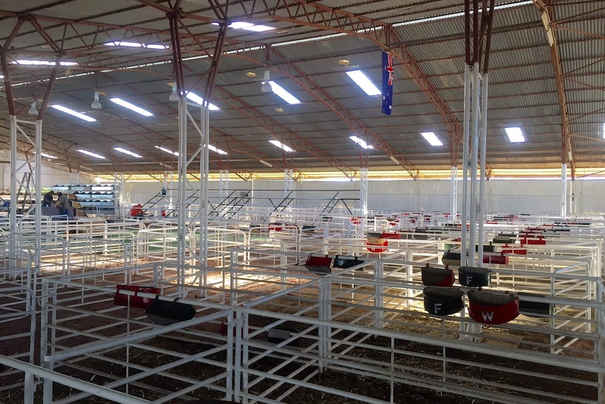 The Longreach Sheep and Wool Pavilion all painted and refreshed.