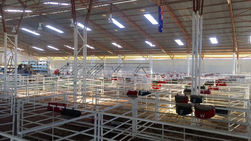 The Longreach Sheep and Wool Pavilion all painted and refreshed.