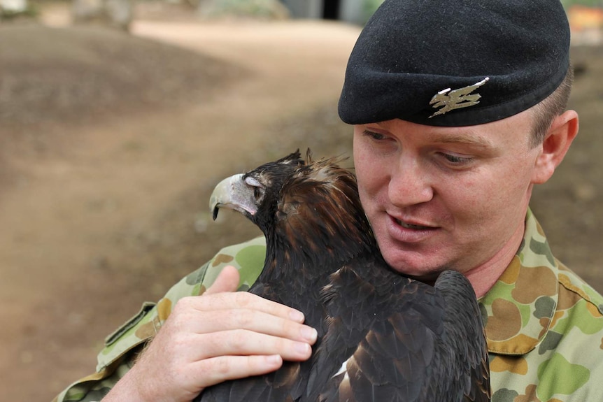 A man in army uniform cuddles a wedge tailed eagle