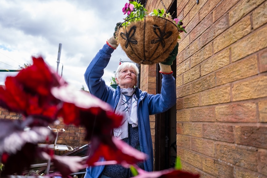 A woman reaches to touch a hanging basket with flowers in it