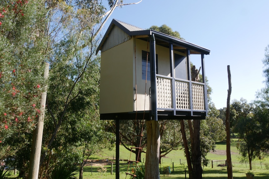 A little tree house with a verandah sits on a tree