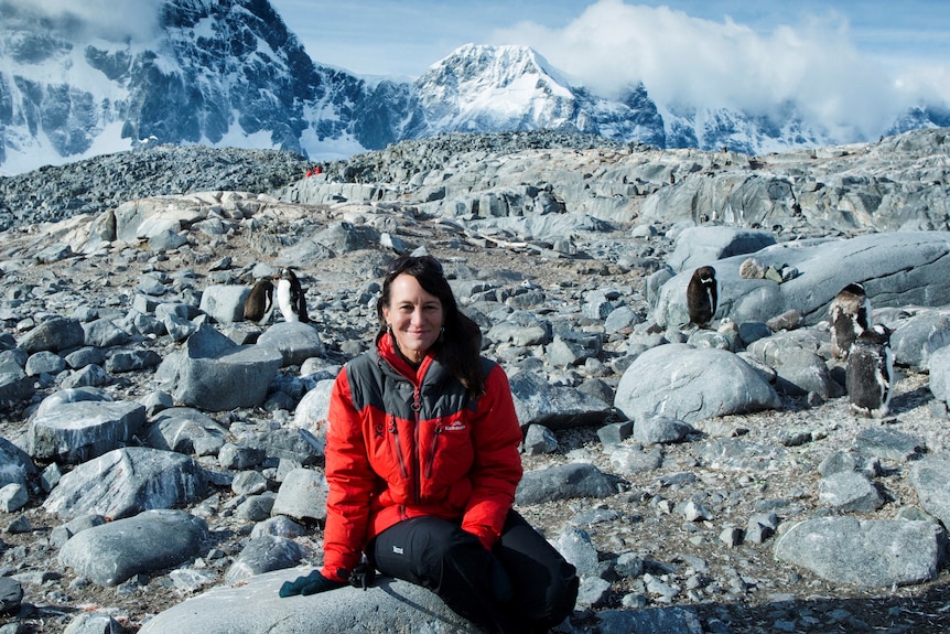 A woman sitting on the rock, with penguins in the background.