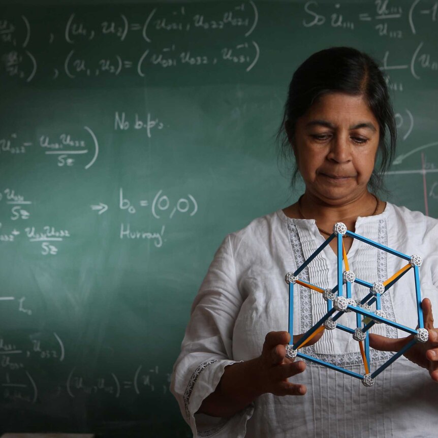 Professor Nalini Joshi with a mathematical model.
