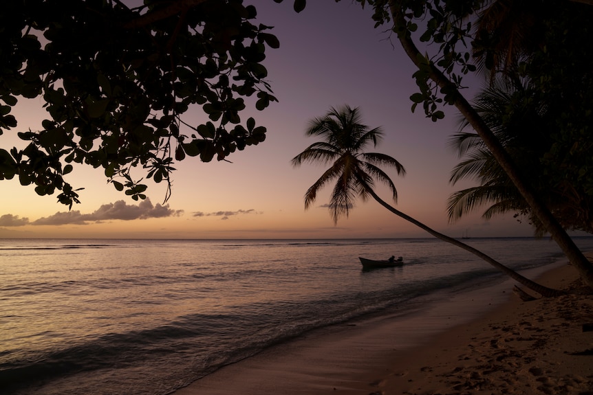A boat navigates the shore of the island of Tobago at dusk.