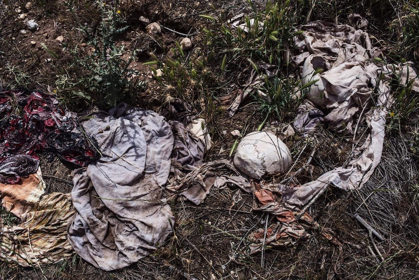 Remains of human skulls, bones and clothing lie on the ground.