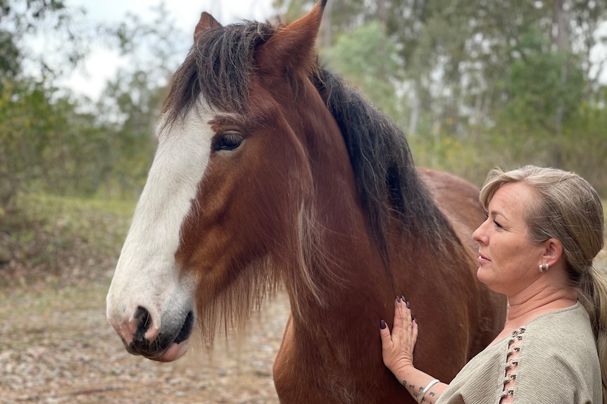 Woman with blonde hair patting a brown Clydesdale with a white face.