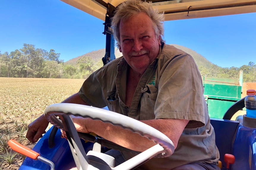 Man in the driver's seat of a cart next to a field of pineapples.