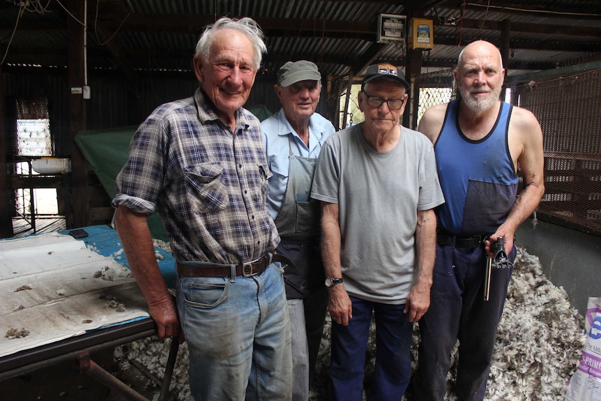 Shearing team with average age of 75