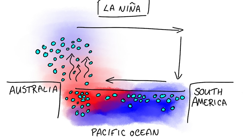 Diagram showing warm water and rising moisture in the east pacific near australia