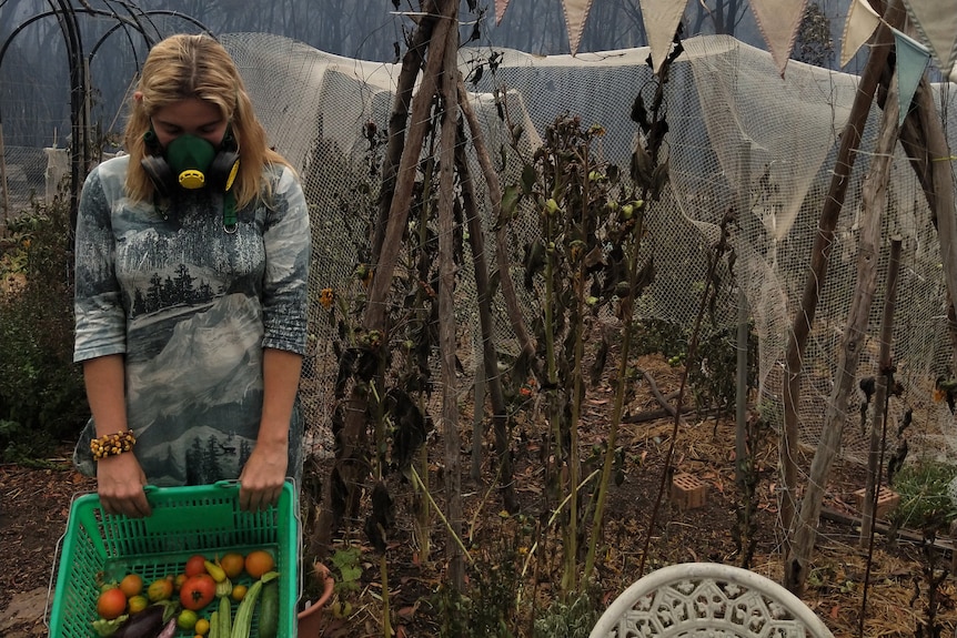 Casey holding a bucket of vegetables in front of a burnt vegetable patch.
