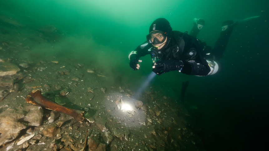 Cave diving detectives search for fossils in hidden depths to shed light on giant life forms